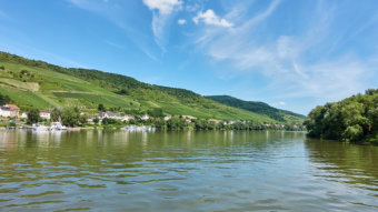 Rhein
