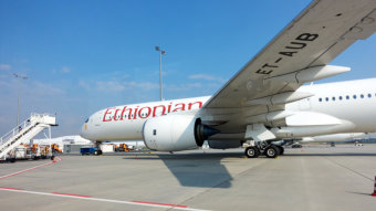 Familienausflug Frankfurt